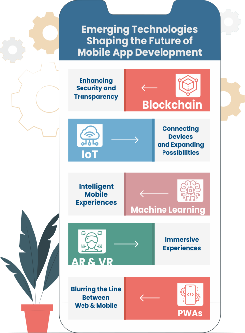 Shopify Analytics to Drive Business Growth