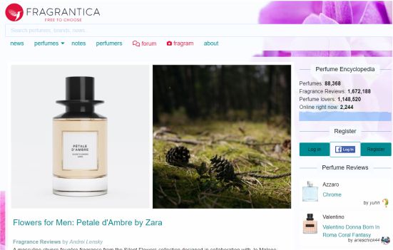 eCommerce Website Design that Allures